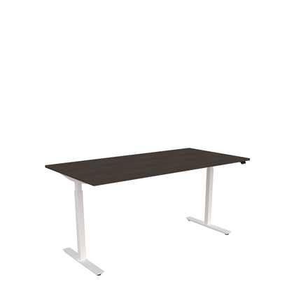 Ergofunk Solo 1600 x 800