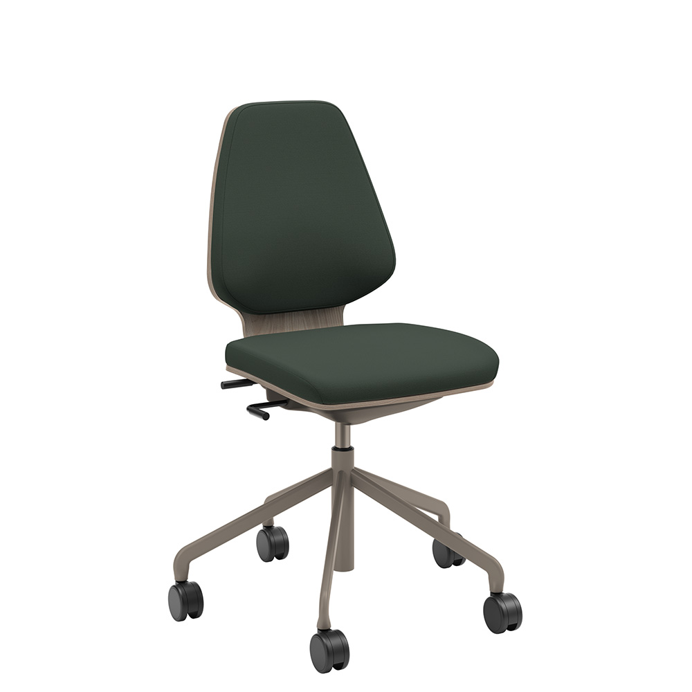 Råshult ask, stativ champagne, tyg Cura Loop 68182