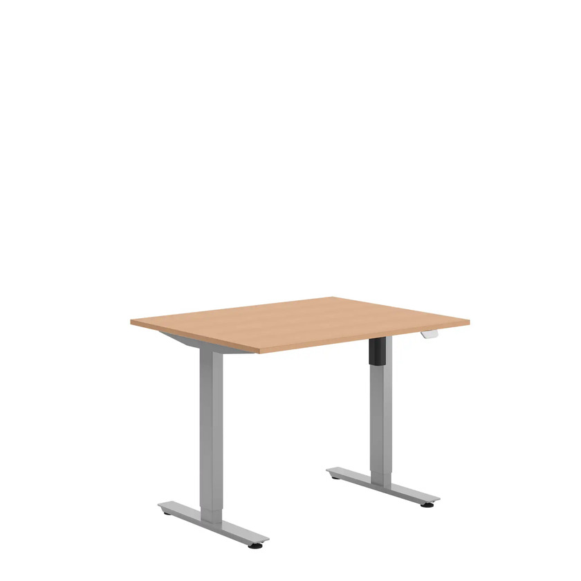 Ergofunk SE Silver 1000 X 800