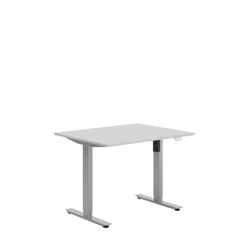 Ergofunk SE Silver 1000 X 800