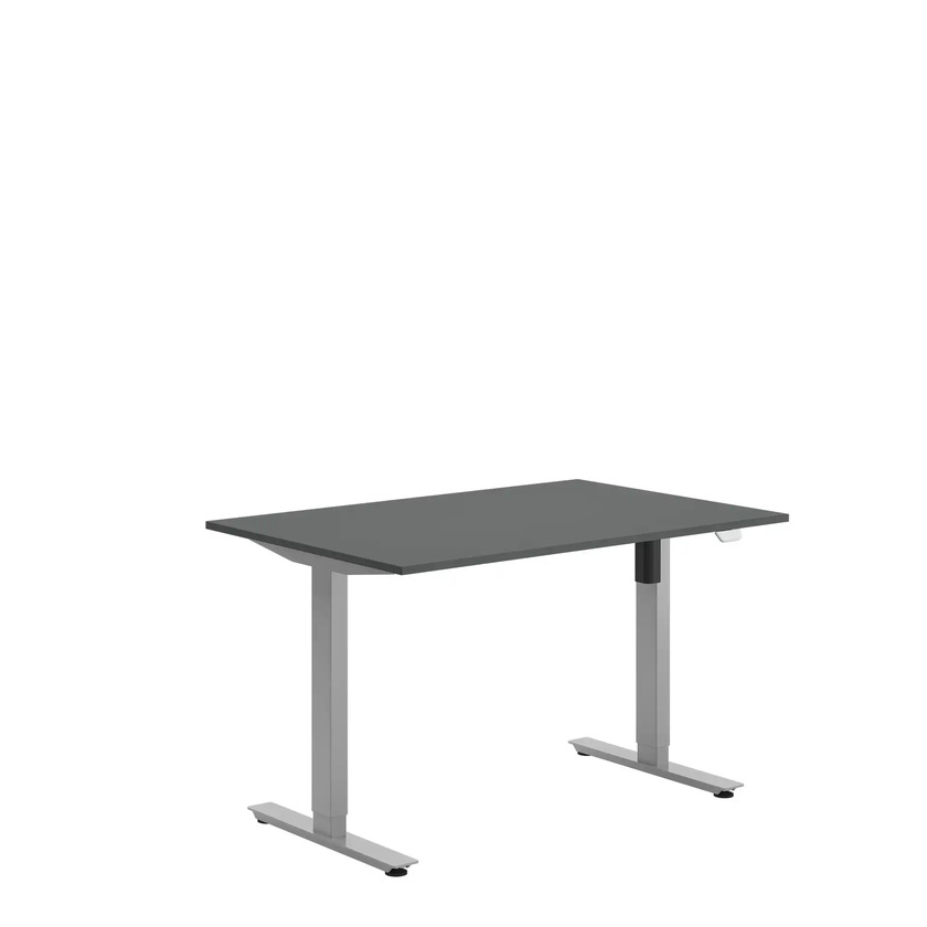 Ergofunk SE Silver 1200 X 800