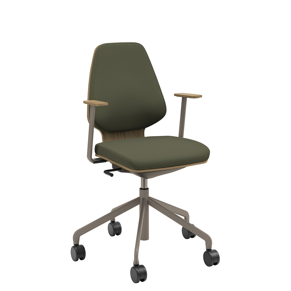 Råshult ek, armstöd, stativ champagne, tyg Cura Loop 68261