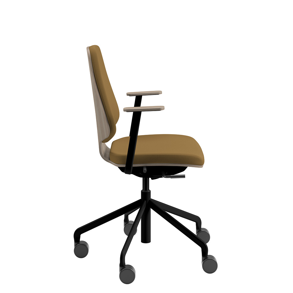 Råshult ask, armstöd, stativ svart, prisgrupp designers