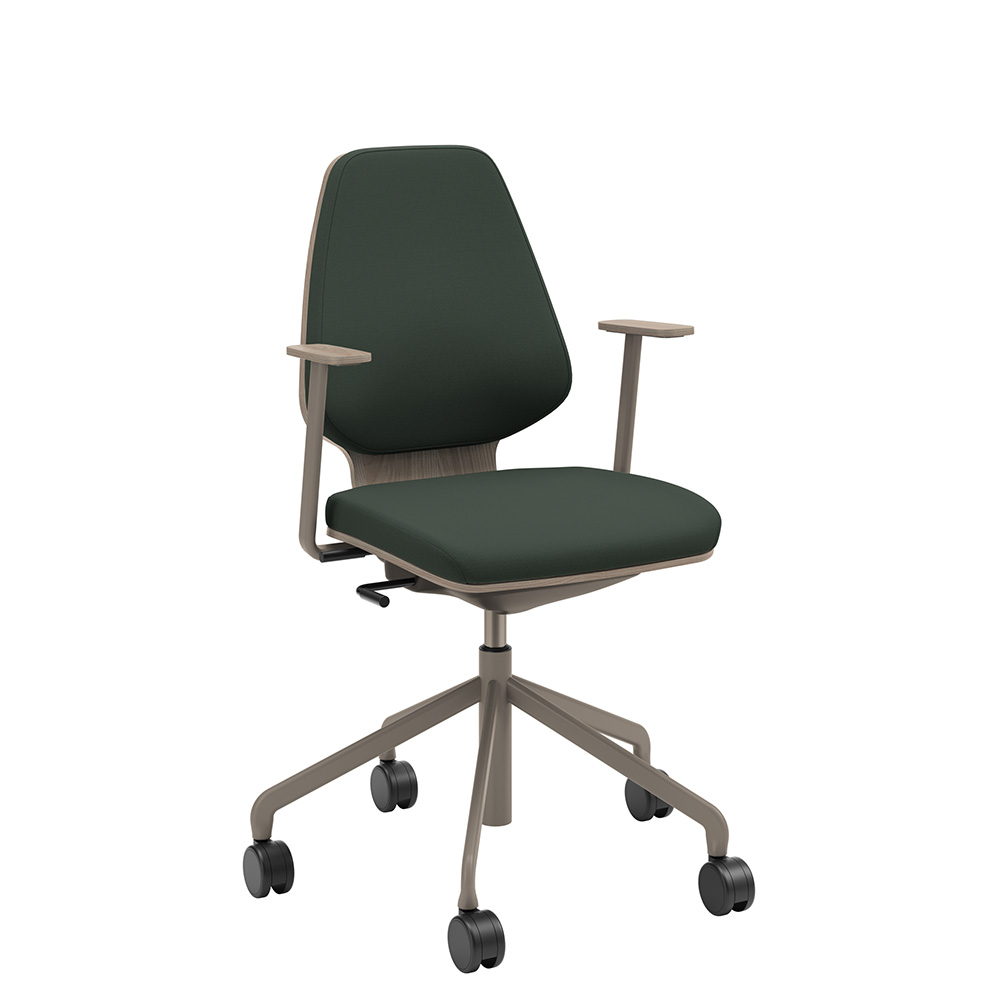 Råshult ask, armstöd, stativ champagne, tyg Cura Loop 68182