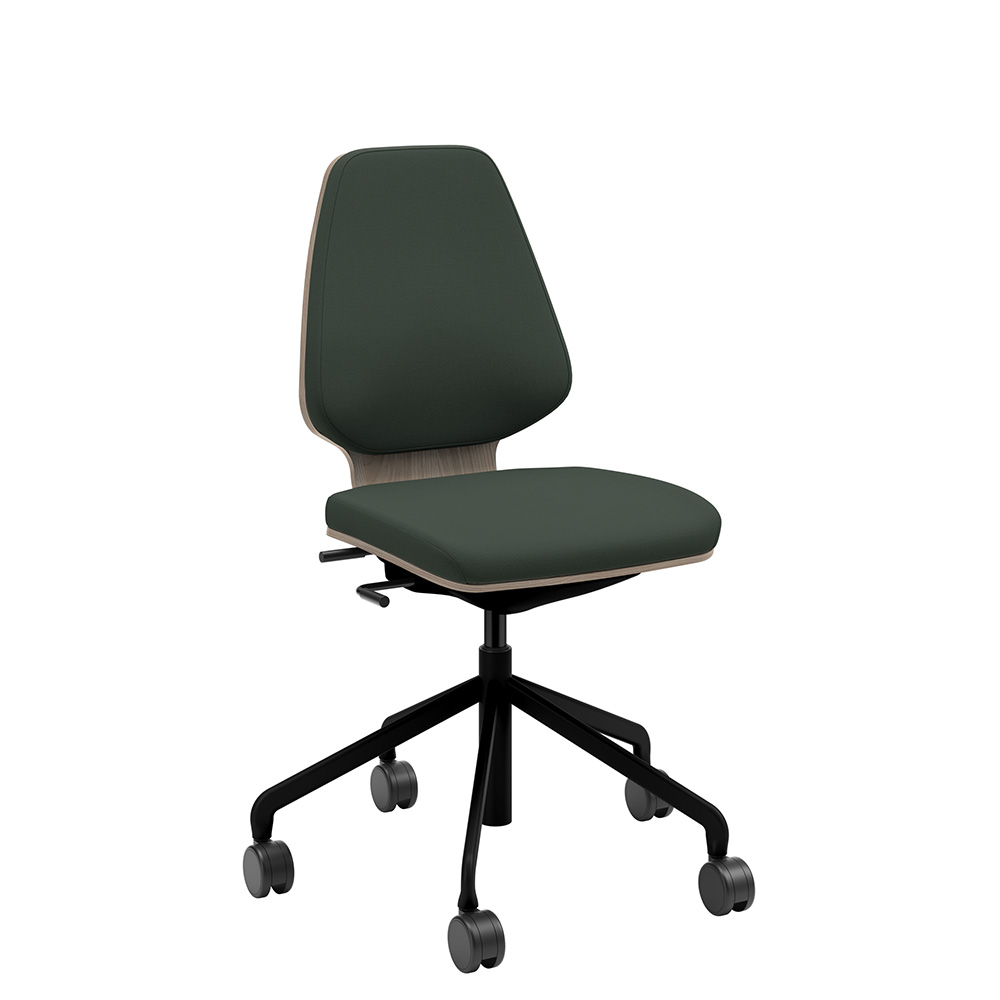 Råshult ask, stativ svart, tyg Cura Loop 68182