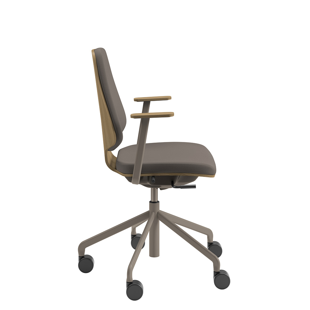 Råshult ek, armstöd, stativ champagne, tyg Cura Loop 61168