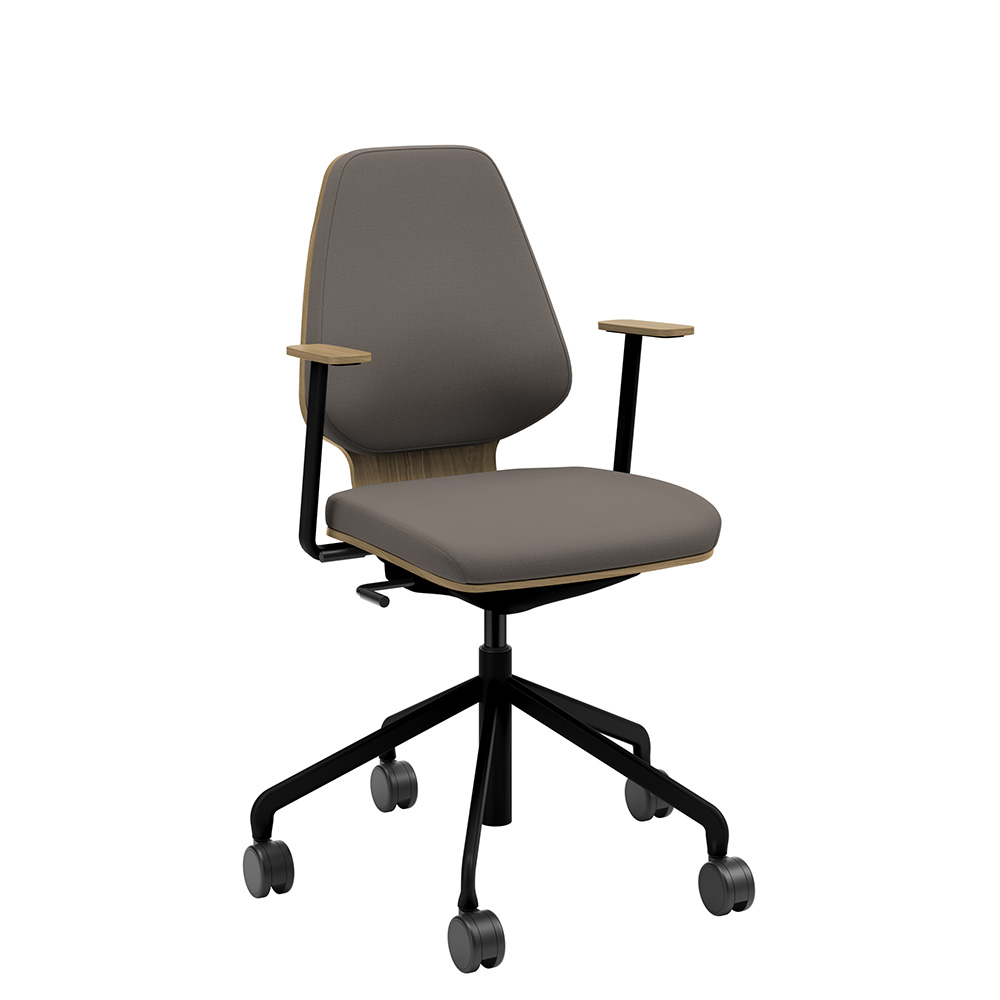 Råshult ek, armstöd, stativ svart, tyg Cura Loop 61168